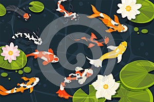 Pond with koi fish. Exotic decorative goldfish, cartoon chinese carp swimming in lake with lotus flowers in cartoon