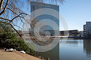 Pond and lake at Hofgarten park in DÃ¼sseldorf, Germany