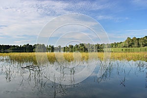 Pond landscape