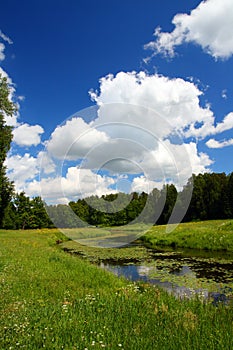 Pond landscape in Pavlovsk park