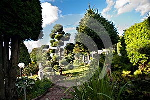 Pond in landscaped garden