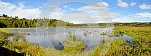 Pond in marshland on the island of Chiloe