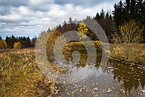 Pond on a meadow with dry yellow grass at autumn, mount Bobija