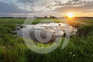 Pond in the meadow at sunset, May evening