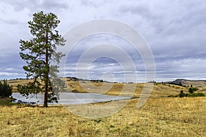 A pond in the middle of a meadow with hills and yellow grass