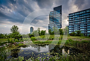 Pond and modern buildings at Corktown Common, in Toronto, Ontario.