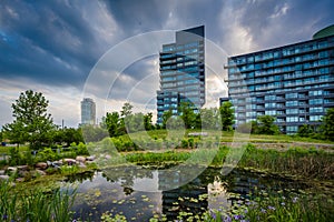 Pond and modern buildings at Corktown Common, in Toronto, Ontario.
