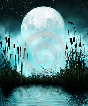 Pond and Moon at Night