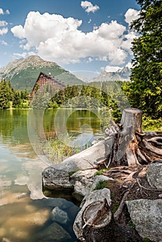 Pond in mountains at summer