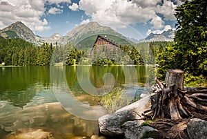 Pond in mountains at summer