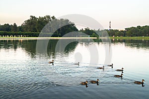 Pond of museum-estate Kuskovo, Moscow.