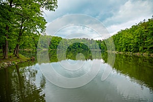 Pond near czech castle Konopiste near Prague, Czech republic