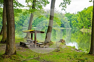 Pond near czech castle Konopiste near Prague, Czech republic