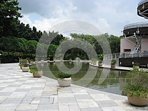Pond next to the Spiral Lookout Tower, Tai Po waterfront park