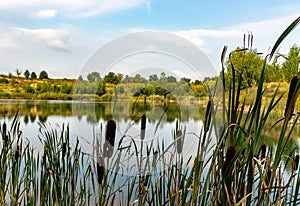 Pond after old gravel pit