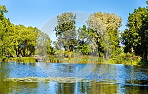 Pond of Olga in Peterhof