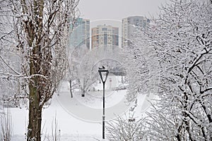 Pond of Olympic Village Park after heavy snowfall in winter, Moscow, Russia