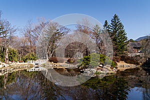 Pond in Oriental Park