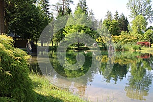 Pond in parco terme di Comano Trentino Italy photo