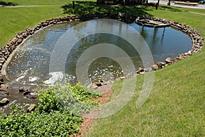 Pond in the Park