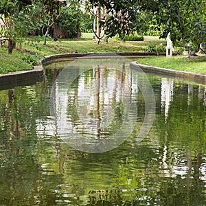 Pond in the park