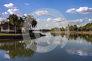 Pond in Park