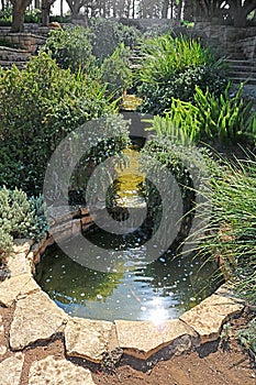 Pond in park Ramat Hanadiv, Memorial Gardens of Baron Edmond de Rothschild, Zichron Yaakov, Israel