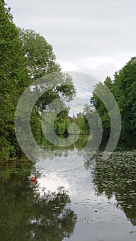 Pond in the park on a summer day