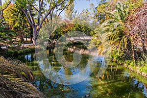 Pond in Parque Infante Dom Pedro park in Aveiro, Portug