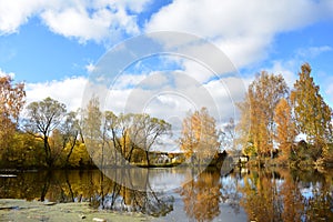 Pond and picturesque alley near the village forest pond a beautiful place to relax with bent branches Kostroma