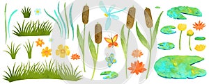 Pond plants watercoolor illustration with reeds, water lilies and grass clipart.