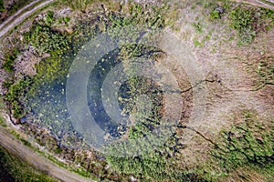 Pond in Poland