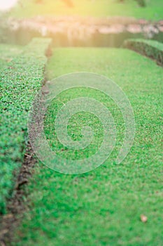 Public park is beautiful nature with sunset.