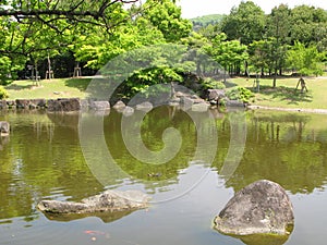Pond in the public park Nara Park in the city of Nara, Japan.