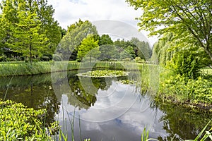This pond with reeds, flowering water lilies and many other water plants is located in a beautifully designed garden near the vill