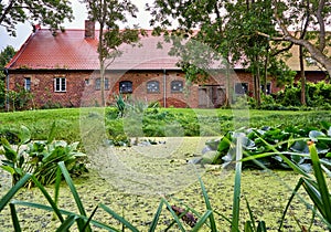 Pond with reeds and water lilies with old house in the background