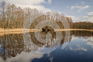 Pond with reflection on a sunny spring day