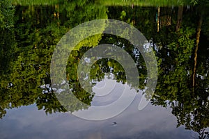 Pond with reflection of trees and blue sky with clouds in park in light of bright sun