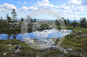 Pond reflections on top of Sarkitunturi fell Lapland