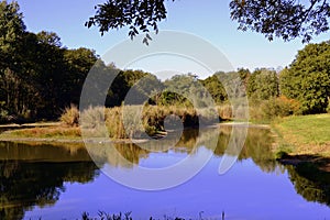 Pond at Rendez-vous Diana temple