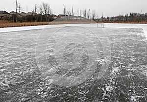 Pond Rink