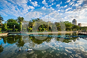 A pond at Rizal Park, in Ermita, Manila, The Philippines.