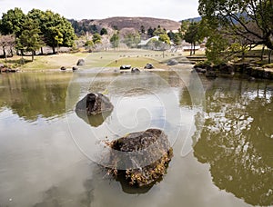 Pond with rocks in Nara koen park