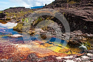 Pond on Roraima Tepui Summit, Gran Sabana, Venezuela photo