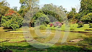 Pond in Royal Botanic Gardens, Peradeniya , Kandy , Sri Lanka