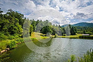 Pond in the rural Shenandoah Valley of Virginia.