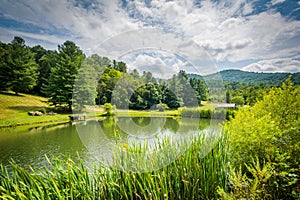 Pond in the rural Shenandoah Valley of Virginia.