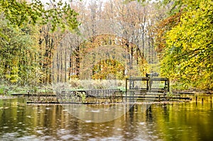 Obsolete machines in the forest