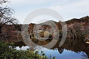 Pond at Ryoanji, Kyoto, Japan