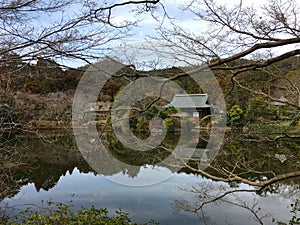 Pond at Ryoanji, Kyoto, Japan